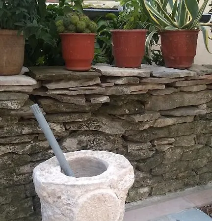 بيت ضيافة Hashorva 3*