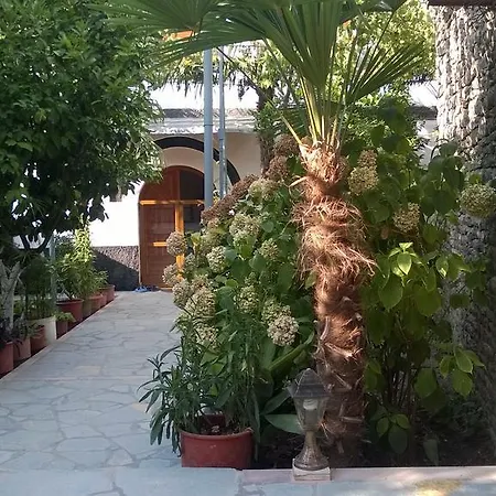 بيت ضيافة Hashorva